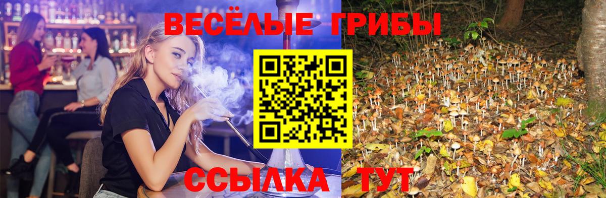 Псилоцибиновые грибы Magic Shrooms Чита