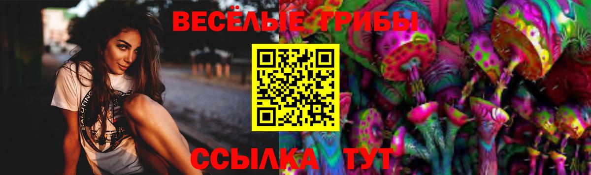 Галлюциногенные грибы прущие грибы  Галлюциногенные грибы мицелий  Чита  Вход с VPN 